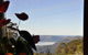 Jamison Guesthouse And The Rooster Restaurant - thumb 1