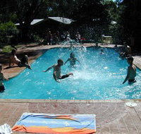 Koala Park - Accommodation Mooloolaba