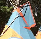 Central Coast Eco Tours - Accommodation Mooloolaba