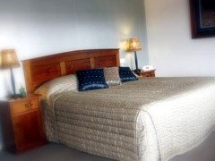 Saltbush Motor Inn - Accommodation Mooloolaba 4