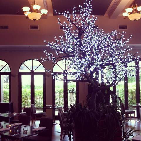 Shangri-La Gardens - Accommodation Mooloolaba 1
