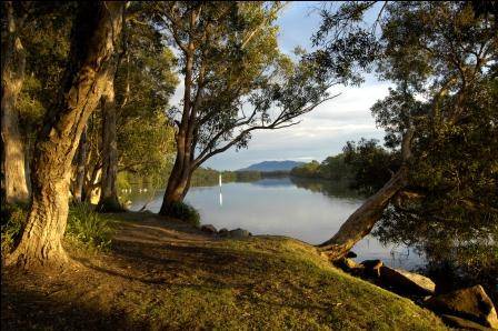 South West Rocks Tourist Park - Accommodation Mooloolaba 2