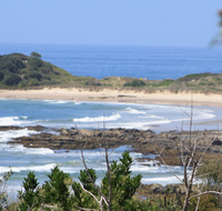 The Bowlo Holiday Cabins - Accommodation Mooloolaba