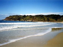 Walkabout Holiday House - Accommodation Mooloolaba 4