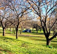 Wellington Caves Caravan Park - Accommodation Mooloolaba