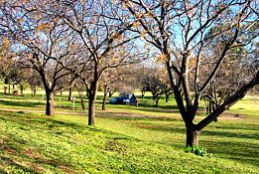 Wellington Caves Caravan Park - Accommodation Mooloolaba 0