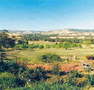 Pecan Hill Bed and Breakfast - Accommodation Mooloolaba