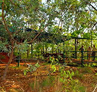 Arnhemland Barramundi Nature Lodge - Accommodation Mooloolaba