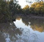Four Mile Camping Reserve - Accommodation Mooloolaba