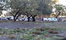 Four Mile Camping Reserve - Accommodation Mooloolaba 1