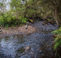 Horse Swamp campground - Accommodation Mooloolaba