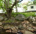 Mt Warning Rainforest Park - Accommodation Mooloolaba