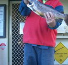 Rainbow Pines Tourist Caravan Park - Accommodation Mooloolaba