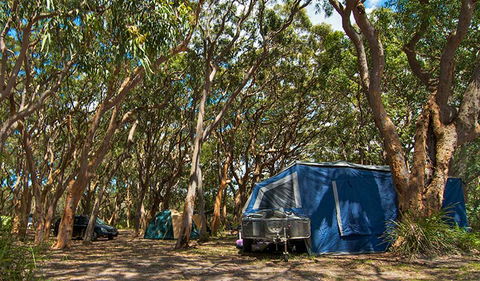 Stewart And Lloyds Campground - Accommodation Mooloolaba 0