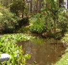 Tallowood Ridge B and B - Accommodation Mooloolaba
