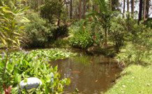 Tallowood Ridge B And B - Accommodation Mooloolaba 0