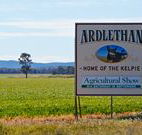 The Ardlethan Kelpie Caravan Park - Accommodation Mooloolaba