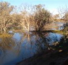 Warrawong on the Darling - Accommodation Mooloolaba