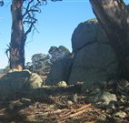 Warreen Farmstay Rural Accommodation - Accommodation Mooloolaba