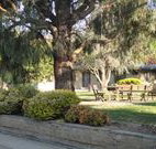 Hamilton Hume Motor Inn - Yass - Accommodation Mooloolaba