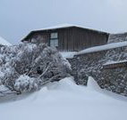 Knockshannoch Ski Lodge - Charlotte Pass - Accommodation Mooloolaba