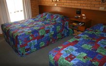 Newell Motor Inn - Narrandera - Accommodation Mooloolaba 1