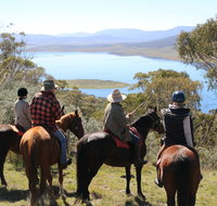Reynella Homestead and Horseback Rides - Accommodation Mooloolaba