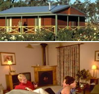 Twin Trees Country Cottages - Accommodation Mooloolaba