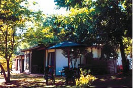 Forest Lodge - Accommodation Mooloolaba 0