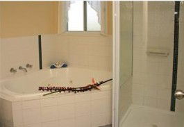 White Albatross Holiday Park - Accommodation Mooloolaba 3