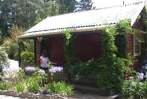 Cedar Lodge Cabins - Accommodation Mooloolaba 1
