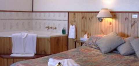 Cedar Lodge Cabins - Accommodation Mooloolaba 2