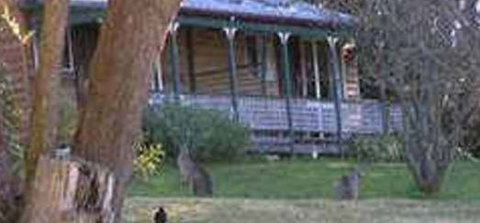 Cedar Lodge Cabins - Accommodation Mooloolaba 3