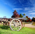 The Oaks Ranch and Country Club - Mossy Point - Accommodation Mooloolaba