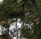 Hidden Valley Farm - Accommodation Mooloolaba