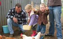 Linga Longa Farm Wingham - Accommodation Mooloolaba 0