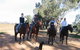 Linga Longa Farm Wingham - thumb 1