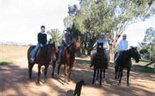 Linga Longa Farm Wingham - Accommodation Mooloolaba 1