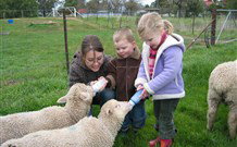 Linga Longa Farm Wingham - Accommodation Mooloolaba 2