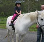 Mansfield Cottage Barrington Tops Accommodation - Accommodation Mooloolaba