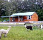 Moorallie Cottage Farm Stay - Accommodation Mooloolaba