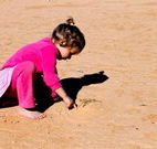 Stony Creek Farm B and B - Accommodation Mooloolaba