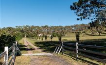 Cruickshanks Armidale Bed And Breakfast - Accommodation Mooloolaba 1