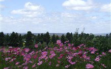 Cruickshanks Armidale Bed And Breakfast - Accommodation Mooloolaba 4