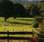 Pines on the Plateau - Accommodation Mooloolaba