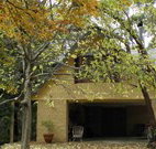 Rose Lindsay Cottage - Accommodation Mooloolaba