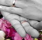 Salisbury Lodges and Araluen Restaurant - Accommodation Mooloolaba