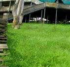 Snowy Valley Resort - Accommodation Mooloolaba
