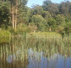 Fosterton Lodge Retreat - Accommodation Mooloolaba