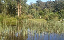 Fosterton Lodge Retreat - Accommodation Mooloolaba 0